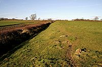 At the western edge of Birrens (Blatobulgium) Roman Fort - geograph.org.uk - 2177289