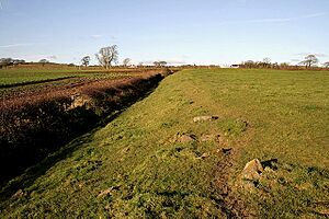 At the western edge of Birrens (Blatobulgium) Roman Fort - geograph.org.uk - 2177289