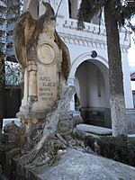 Aurel Vlaicu tombstone