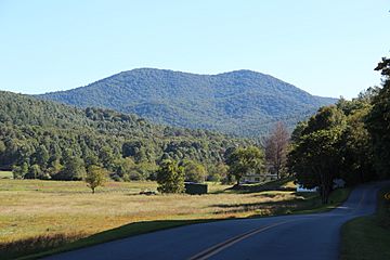 Big John Dick Mountain, Fannin County, Georgia.JPG
