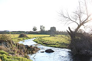 Birori - Nuraghe Sorolo (02)