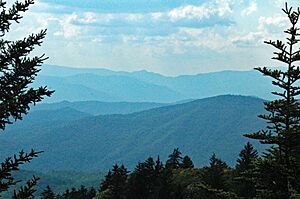 Blue Ridge (western North Carolina, USA) 4