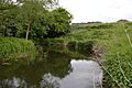 Bocking Blackwater 9