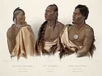 Bodmer Missouria Otoe Ponca Indians