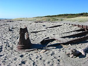 Bones of the 'Hydrabad' - panoramio