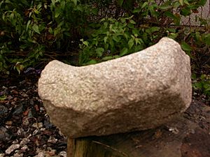 Bronze Age saddle quern (section) (FindID 148667)