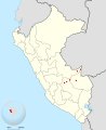 Cacicus koepckeae map