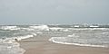 Cape Lookout Point - 2013-06 - 09