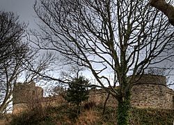 Two of Castell Aberlleiniog's towers and keep wall in 2009, after restoration had begun