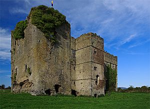 Castles of Munster, Loughmoe, Tipperary - geograph.org.uk - 1542634