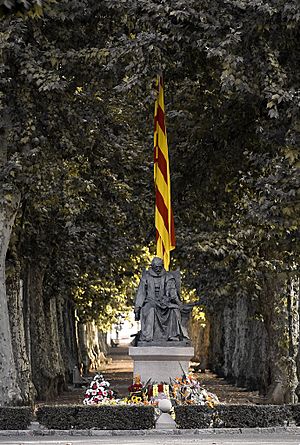 Catalonia Olot 11DeSetembre