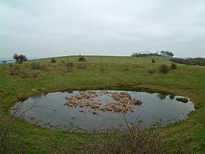 Chanctonbury Dew Pond