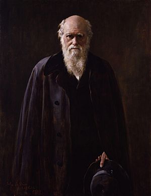 Charles Robert Darwin por John Collier