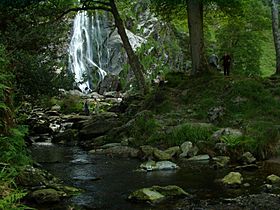 Dargle Waterfall 2003 035