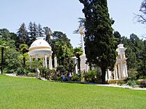 Dendrarium Sochi Mauritanian arbour