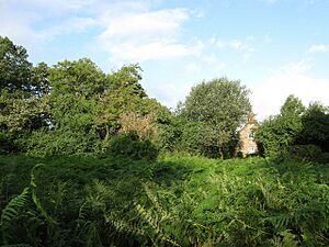 Ditchling Common - geograph.org.uk - 1462153
