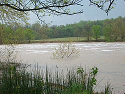 East Fork White River flooding at Williams, IN 4-23-2011