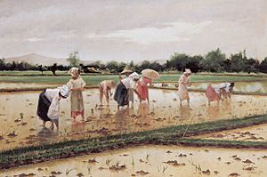 Fabian de la Rosa, Women working in a rice field