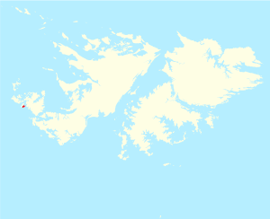 Location of Tea Island within the Falkland Islands