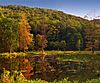 A wooded mountain with bright fall leaves is reflected in a small lake with many plants sticking out of the surface