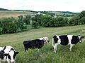 Farm on Charming Forge Rd., North Heidelberg Twp, BerksCo PA 03