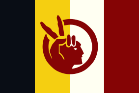 Flag of the American Indian Movement V2