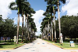 Florida Memorial University