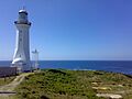 Green Cape Lighthouse and skeletal