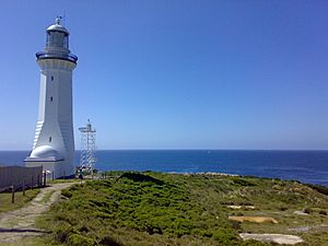 Green Cape Lighthouse and skeletal.jpg