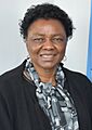 Hlengiwe Mkhize (cropped)