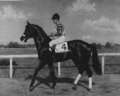 Hof9