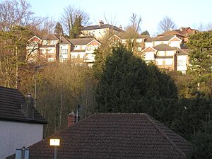 Houses above the A22, Whyteleafe (geograph 2309246).jpg