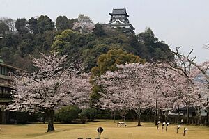 Inuyama Castle Keep Tower and Sakura