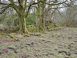 Kilbirnie Place - walled garden ruins