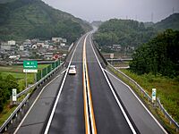 KochiEXPWY Kagami river bridge