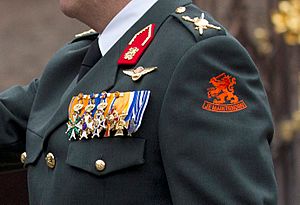 Koning Willem-Alexander uniform close-up