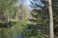 Leonard-j-buck-garden