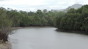Looking upstream of Redden Creek (off shoot of Barron River) from Gundy Anton Bridge, Machans Beach, 2018 02