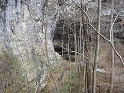Lost Cove Cave From Cliff.jpg