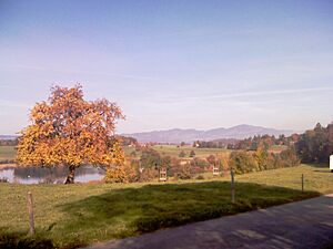 Luetzelsee kun rigardo al Bachtel (Foto de Dietrich Michael Weidmann)