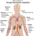 Main symptoms of acute hemolytic reaction
