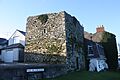 Margarets Castle, Ardglass, November 2010 (02)