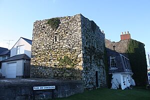 Margarets Castle, Ardglass, November 2010 (02)