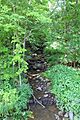 Martin Creek looking downstream