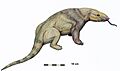 Metacheiromys DB152