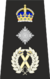 Metropolitan Commisioner Insignia (Tudor Crown).svg