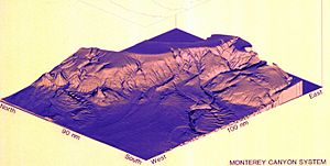 Monterey Canyon system
