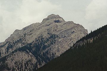 Mt Aylmer 1994.jpg