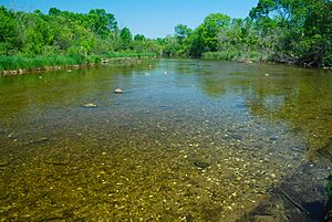 Mukwonago River