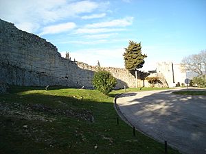 Roman wall at Olèrdola